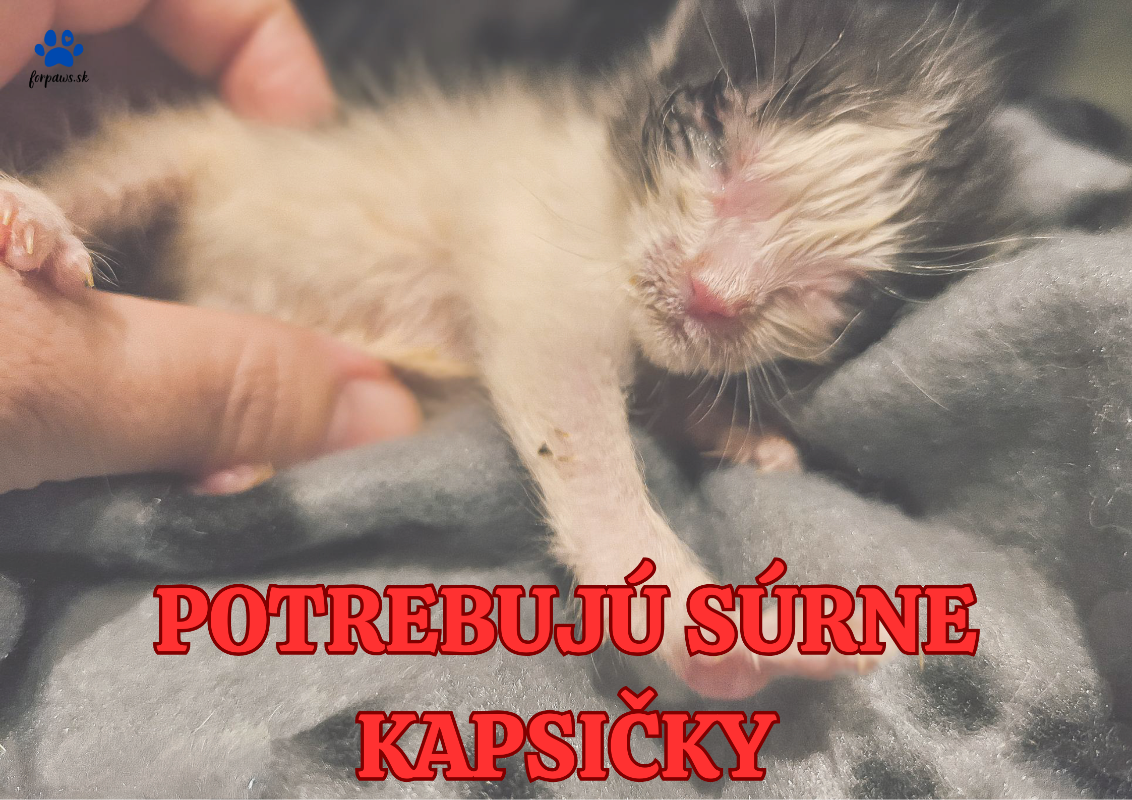 POTREBUJÚ SÚRNE KAPSIČKY